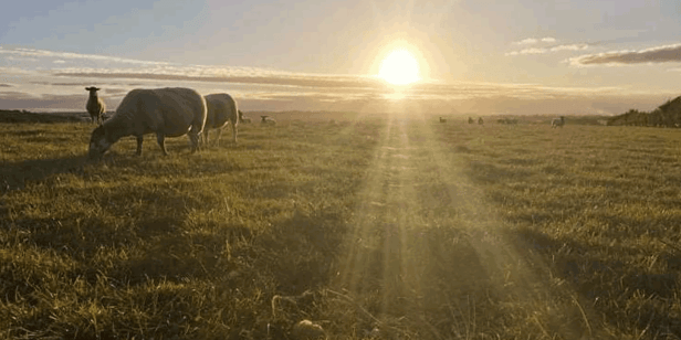 Katie and Dean&nbsp;Whybrow